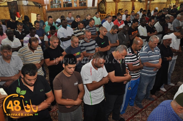 kaber yaffa js (2).JPG